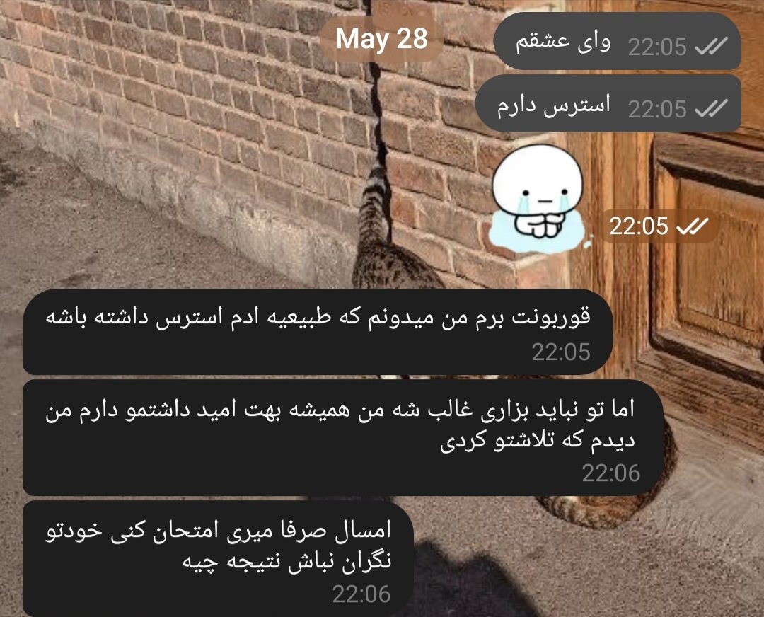 شب کنکور سراسری و ارشد
به فاصله‌ی ۴سال🥺🥺🥺