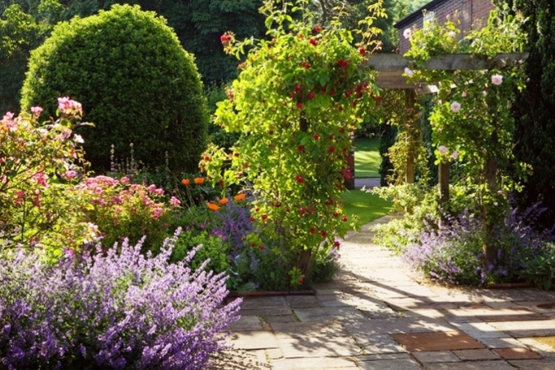 OPEN JUNE 1ST 11-4.30pm
Manor Farm
Horkstow Road, South Ferriby, DN18 6HS
Formal garden many seating areas.Two acres,mature shrubberies, herbaceous borders, gravel garden,pergola walk. Roses,white garden,fernery. Wildlife pond.Classic Car display. #NGS #opengarden #classiccarshow
