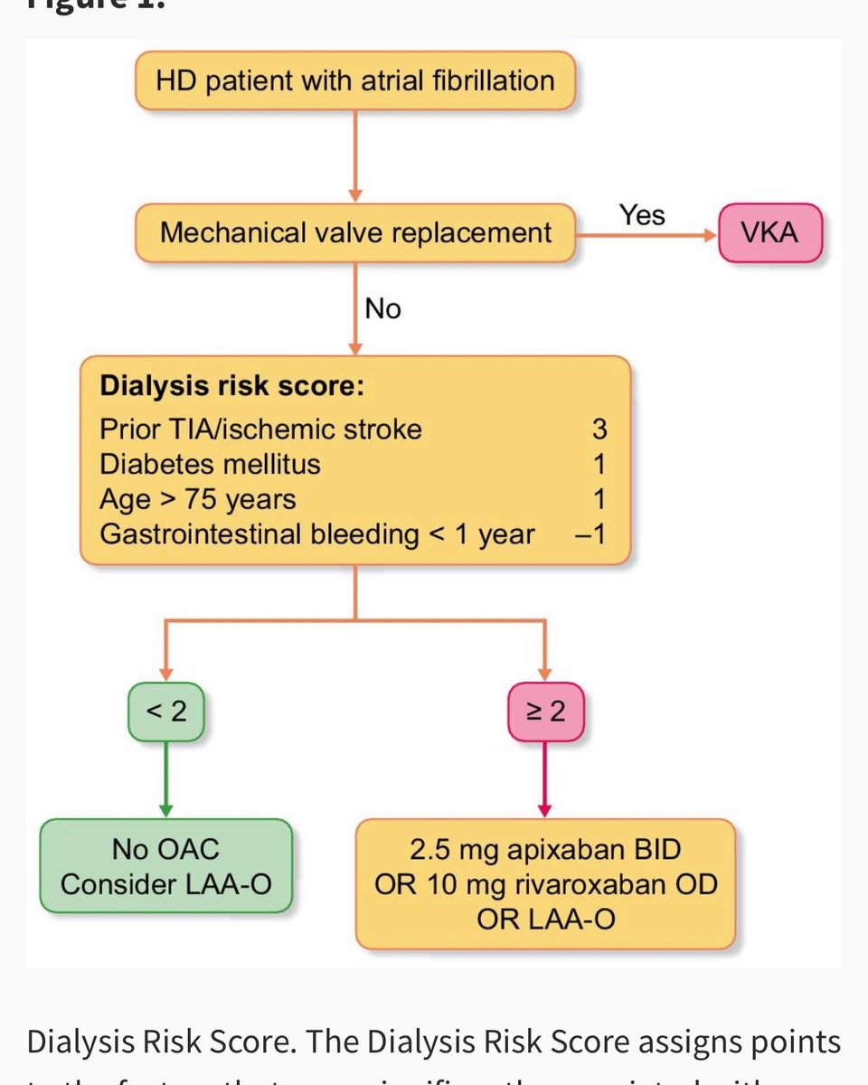 🫘❤️‍🩹Oral anticogulation in dialysis patients with Atrial Fib 

academic.oup.com/ckj/article/17…

<a href="/CKJsocial/">CKJ</a>