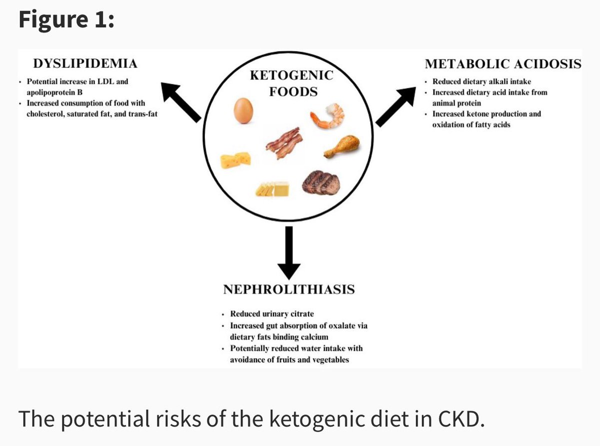 🫘‼️Risks of Ketogenic diet in CKD

academic.oup.com/ckj/article/17…

<a href="/CKJsocial/">CKJ</a>