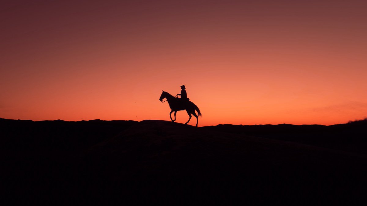 Gamography tweet media