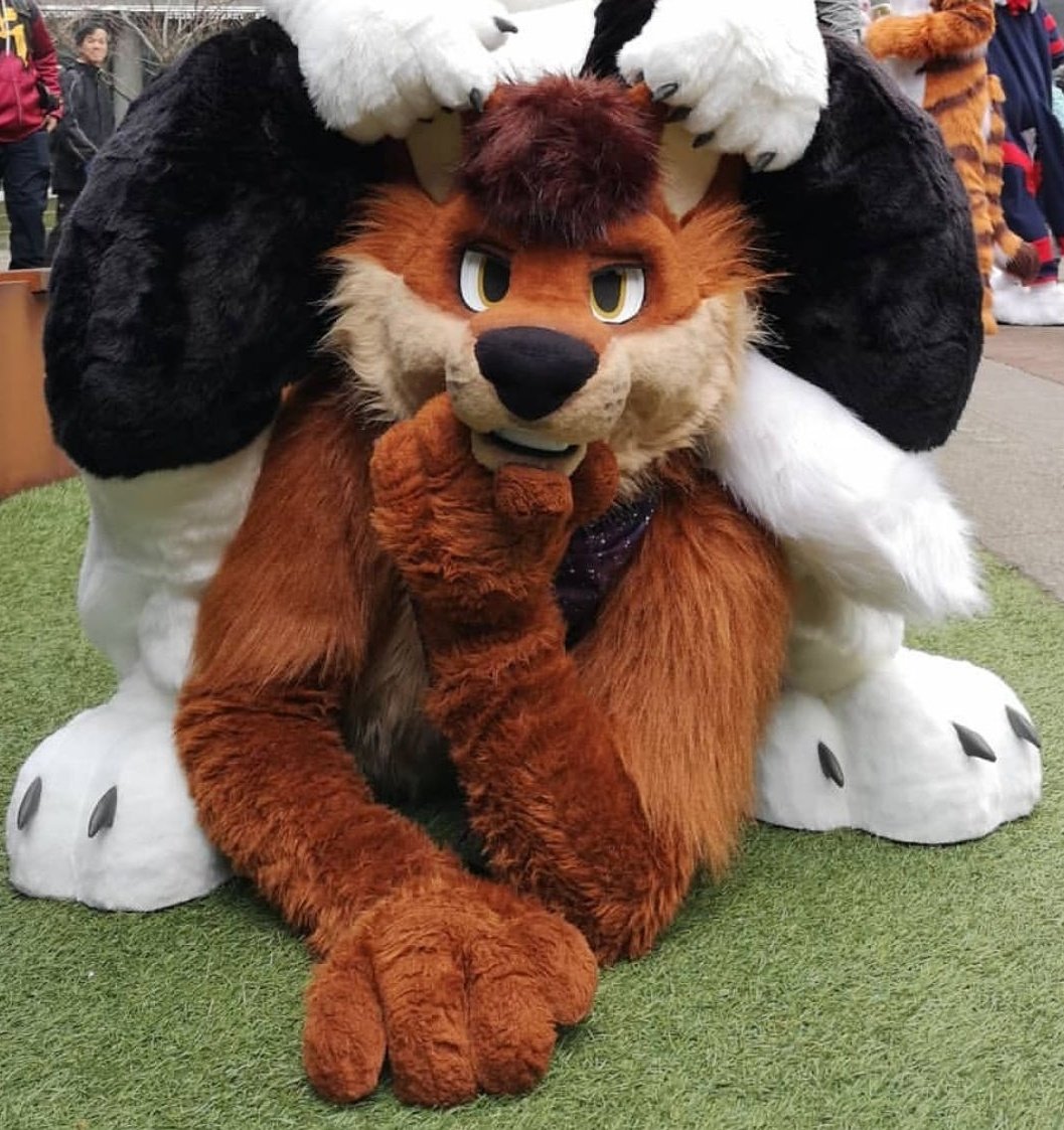 RustiDhole's tweet image. 💖 Happy World Dhole Day 💖
Make sure you let the dholes in your life know how much they mean to you!
(Honestly theres like 8 of us in the fandom so shower me with love and affection 😄😄😄😄)
#WorldDholeDay 
🪡 @MadeByMercury 
📷 (I cant recall pls hit me up 😭😭)