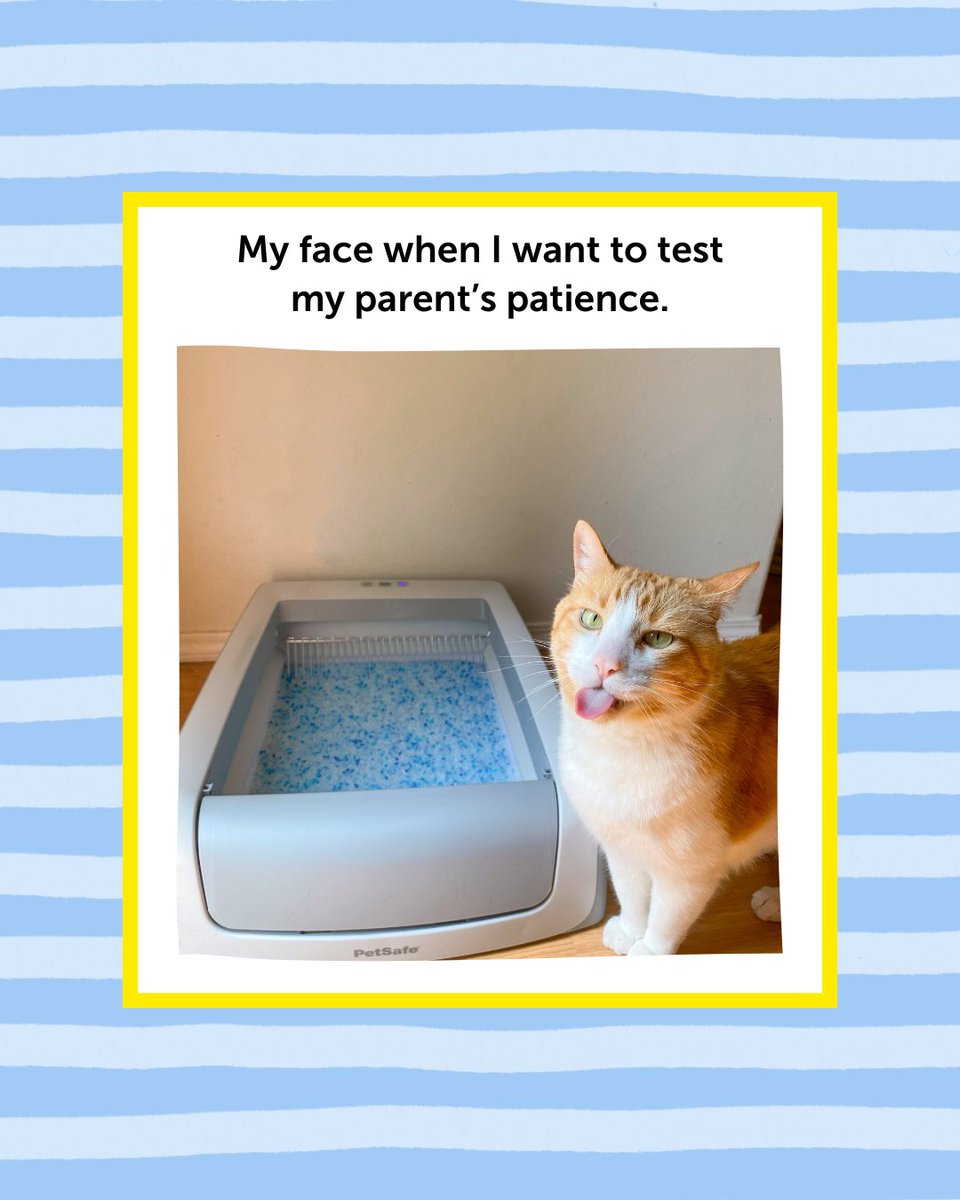 The judgement is REAL, but somehow it makes us love them even more. 🥰