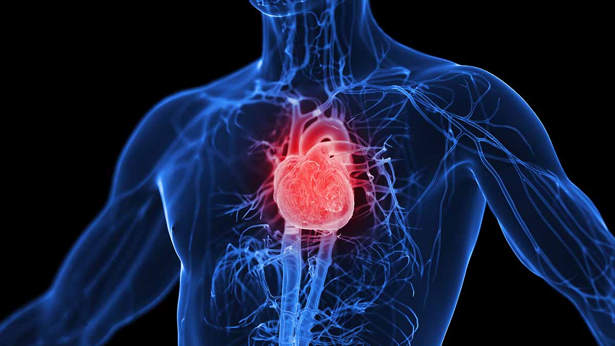 University of Arizona Health Sciences (@uazhealth) on Twitter photo Researchers <a href="/UAZMedTucson/">UA College of Medicine – Tucson</a> identified a compound that may reverse progression of HFpEF, a form of heart failure linked to stiff heart muscle. The study, published in Cell Metabolism, showed how sugar byproducts drive the disease. bit.ly/3Z44ZUK <a href="/UAZHeart/">UArizona Sarver Heart Center</a> <a href="/ArdehaliHossein/">Hossein Ardehali</a> Researchers <a href="/UAZMedTucson/">UA College of Medicine – Tucson</a> identified a compound that may reverse progression of HFpEF, a form of heart failure linked to stiff heart muscle. The study, published in Cell Metabolism, showed how sugar byproducts drive the disease. bit.ly/3Z44ZUK <a href="/UAZHeart/">UArizona Sarver Heart Center</a> <a href="/ArdehaliHossein/">Hossein Ardehali</a>