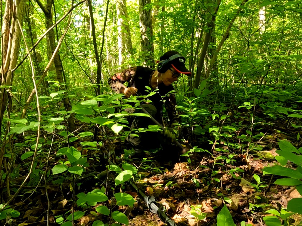 Me detecting in the "fur trade forest". Things were very overgrown and we may have to wait until the fall to go back there.

#metaldetecting #hamont #hamilton #ancaster #dundas #stoneycreek #mounthope #waterdown #millgrove #carlisle #freelton #flamborough #glanbrook