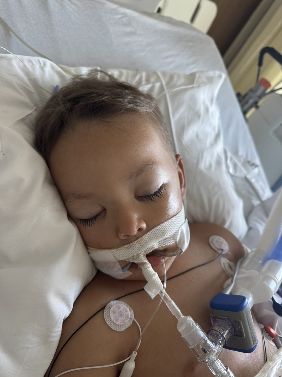 joshnomics tweet media