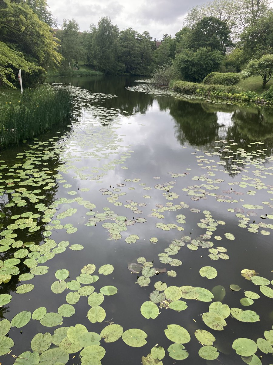 AddiscombeAmbassador tweet media