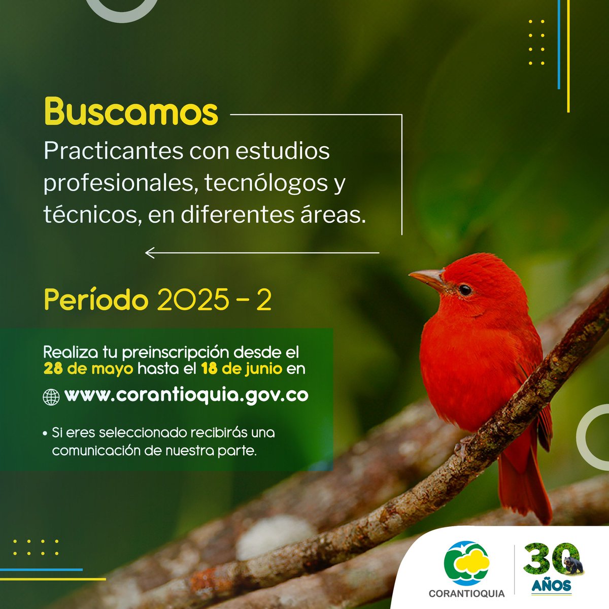 Corantioquia's tweet image. 🎓 Desde hoy está abierta la convocatoria para que realices tus prácticas en nuestra Corporación 🌿📚.

💻 Ingresa a 👉 corantioquia.gov.co y accede a toda la información 📲📄.

¡Conéctate por la vida! 🌸✨

#Corantioquia30Años #ConectadosPorLaVida