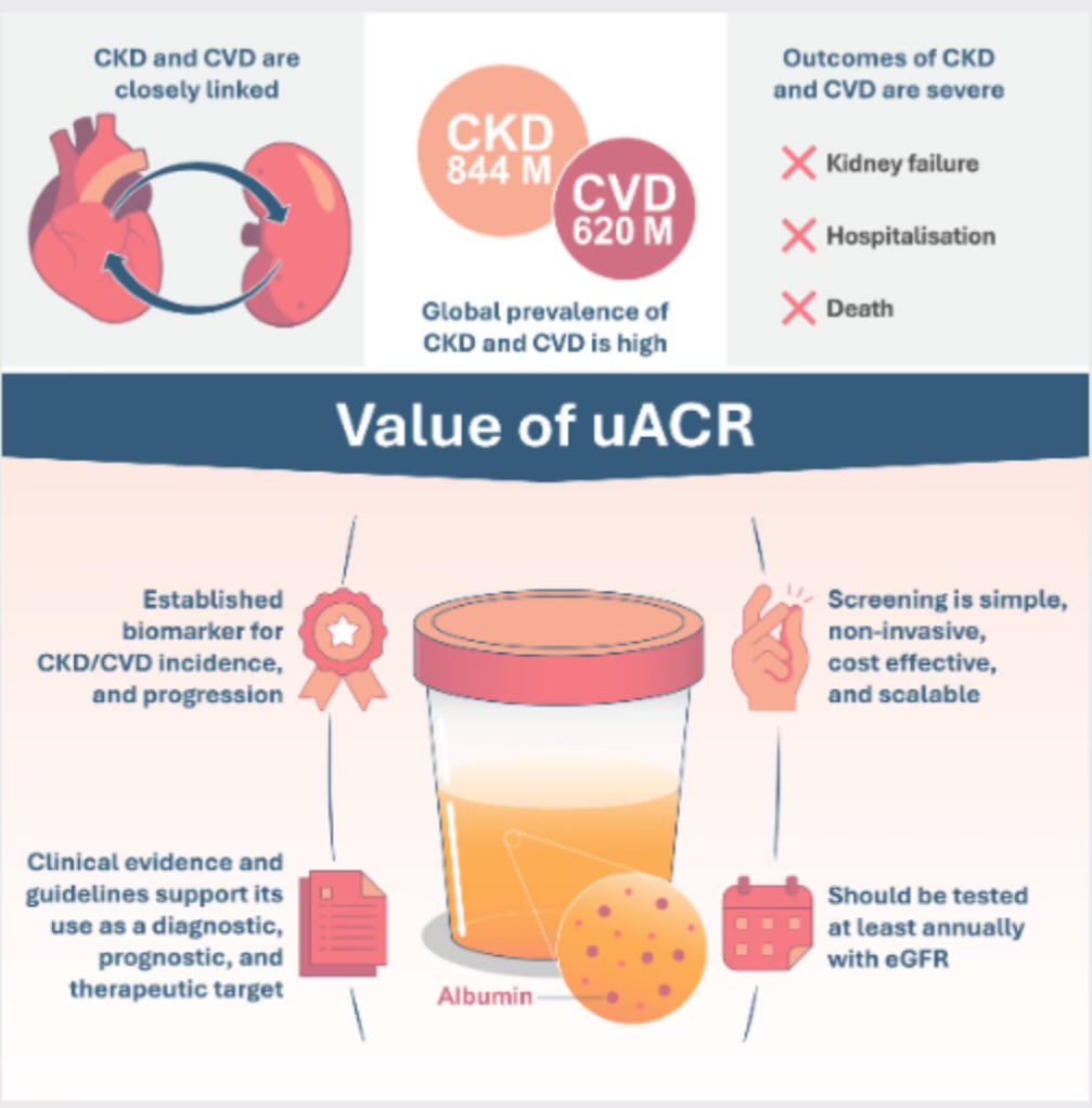 #Albuminuria as a diagnostic criterion &amp; a therapeutic target in #HeartFailure &amp; other cardiovascular disease

#CardioRenal #CKD #HF