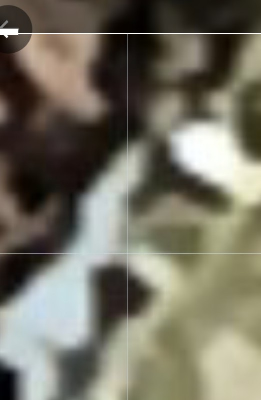 ElMIRA393760's tweet image. Ⓜ️IRROR-IMAGE 🅿️^+IENT
W#I+E T-$#1RT CONTEST ; 
♾️SEE ALSO : 
🈂️⚪️⚪️➕️🟰®️💲

C.R.I.M.E. 
D🚫||\||+ PA¥ 🤡