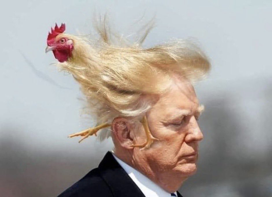 Trump always chickens out.
#TACO