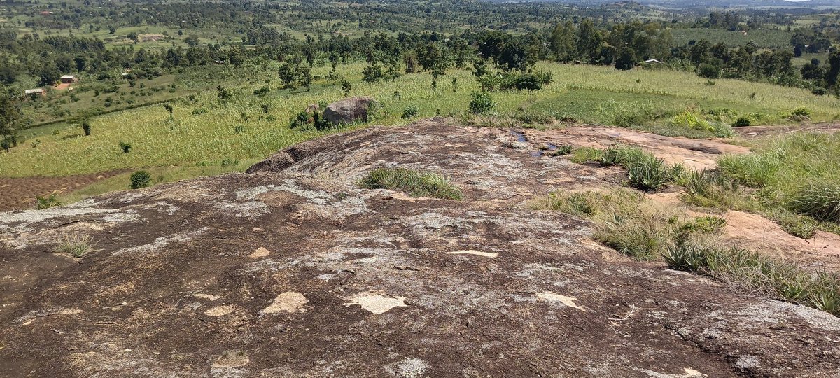 oresoil's tweet photo. Got a quarry or mining site?
Find out how much your rock mass is really worth — and start maximizing those profits!
📞 Call us today:
+256770836731
#geology #geophysicalsurvey #ERT #Mining #Construction #mapping #geoenvironmental https://t.co/uxpiL9pzBK