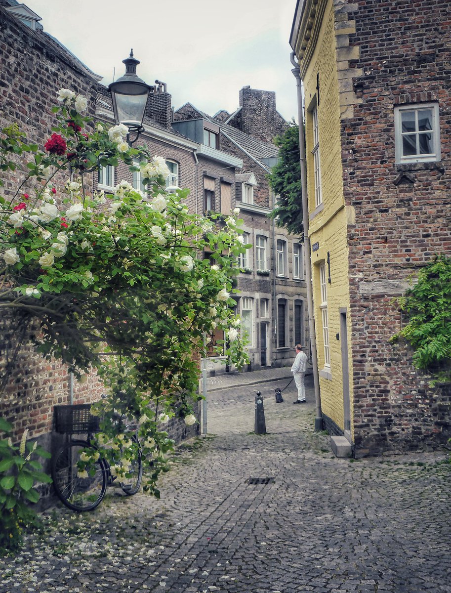 Ik heb heel wat geduld, maar de man in het witte pak met het hondje wilde persé op de foto. 😄 Hij was trouwens aan het wachten op de processie die minuten later zou langskomen.

Delen mag, graag zelfs.

Maastricht, Achter de Molens

<a href="/magnifiekZL/">Magnifiek Zuid-Limburg</a>