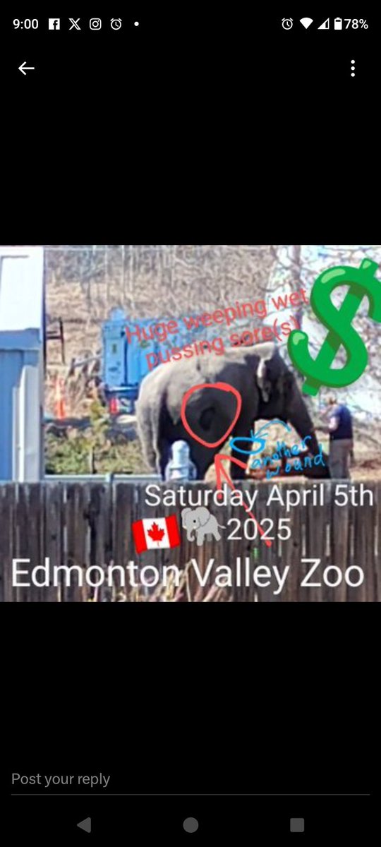 JulieKi53713414's tweet photo. 🇨🇦🐘💲🤑💉☠️🔥
#OurYeg #Yeg
Edmonton Valley Zoo LIE to the 🌏 OVER &amp; OVER DECADE$ because they have a hidden agenda &amp; will NEVER transfer her to ANY SANCTUARY - investigate #ZooAnimalMortalityInsurance &amp; other coverage$ on poor precious Lucy'$ head $ince 1977

EVIL
#KillingLucy https://t.co/gq9D92tkmp