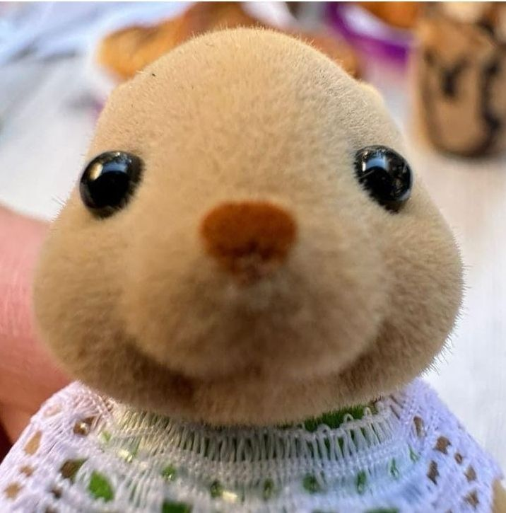 Pero si me van a invitar a eventos o colaboraciones o me falta seguidores waaaaaaaa