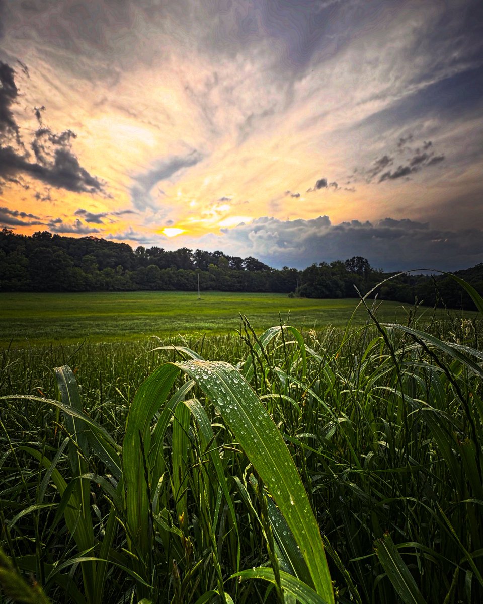 sdcoile's tweet image. BREAKING:
Nobody out here gives a tinker’s damn over what y’all are all mad about today.