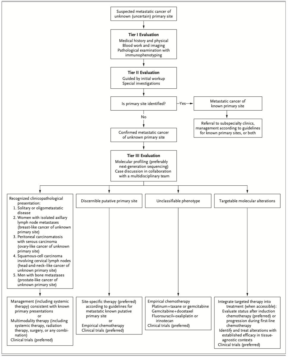 Oscar Tahuahua (@oscartahuahua) on Twitter photo Cancer of Unknown Primary <a href="/NEJM/">NEJM</a>-2025
▫️CUP 1–3% of cancers
⚠️Subtypes: favorable (20%) vs unfavorable (80%).
Molecular profiling identifies origin in ~30% & actionable mutations in ~40%. ICIs for TMB/MSI/PD-L1+
An excellent review, a must read! <a href="/OncoAlert/">OncoAlert</a> 
nejm.org/doi/full/10.10… Cancer of Unknown Primary <a href="/NEJM/">NEJM</a>-2025
▫️CUP 1–3% of cancers
⚠️Subtypes: favorable (20%) vs unfavorable (80%).
Molecular profiling identifies origin in ~30% & actionable mutations in ~40%. ICIs for TMB/MSI/PD-L1+
An excellent review, a must read! <a href="/OncoAlert/">OncoAlert</a> 
nejm.org/doi/full/10.10…