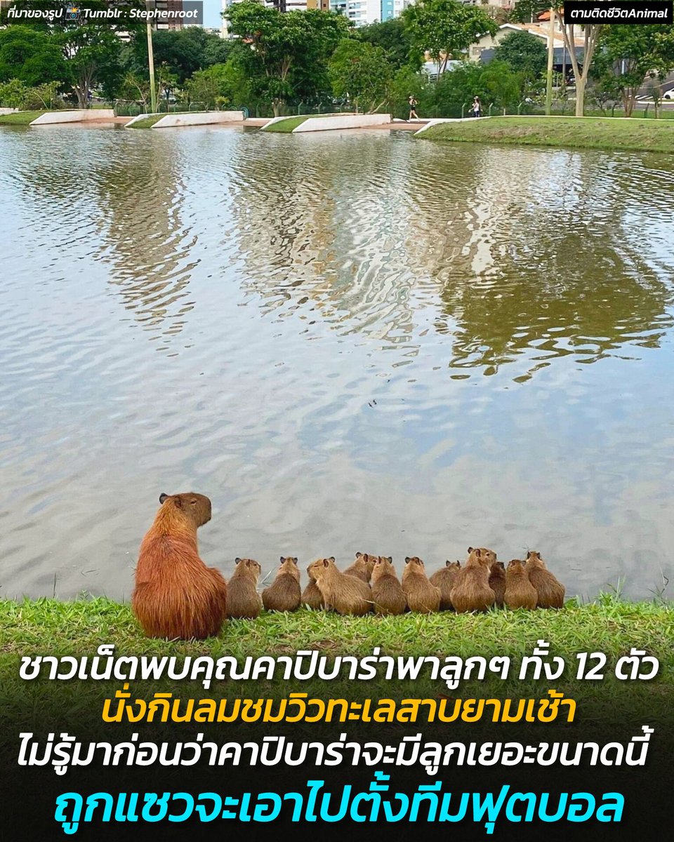 ตามติดชีวิตAnimal tweet media