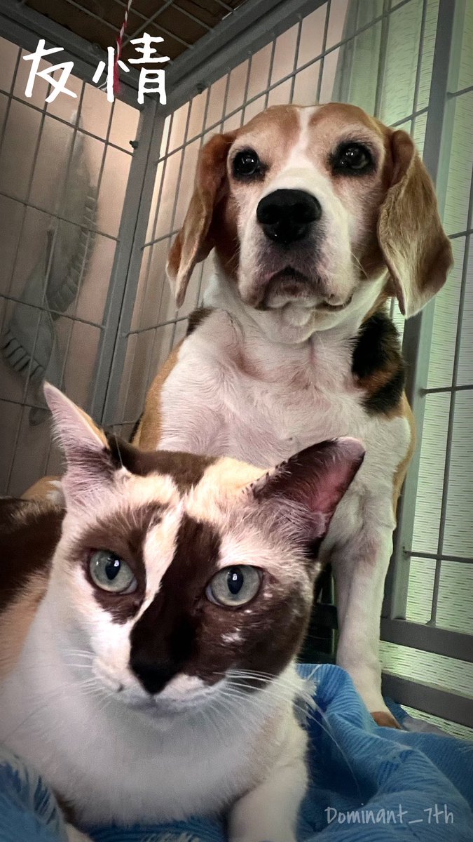 君がいれば、それでいい