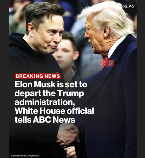 Amely Patt tweet media