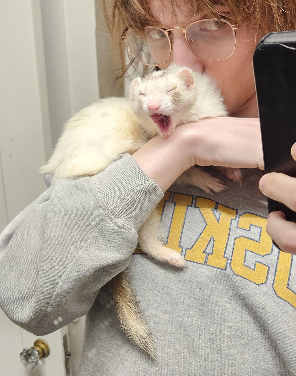 strayspacehound's tweet image. in case any of you forgot: i'm cute & i'm looking for a wife