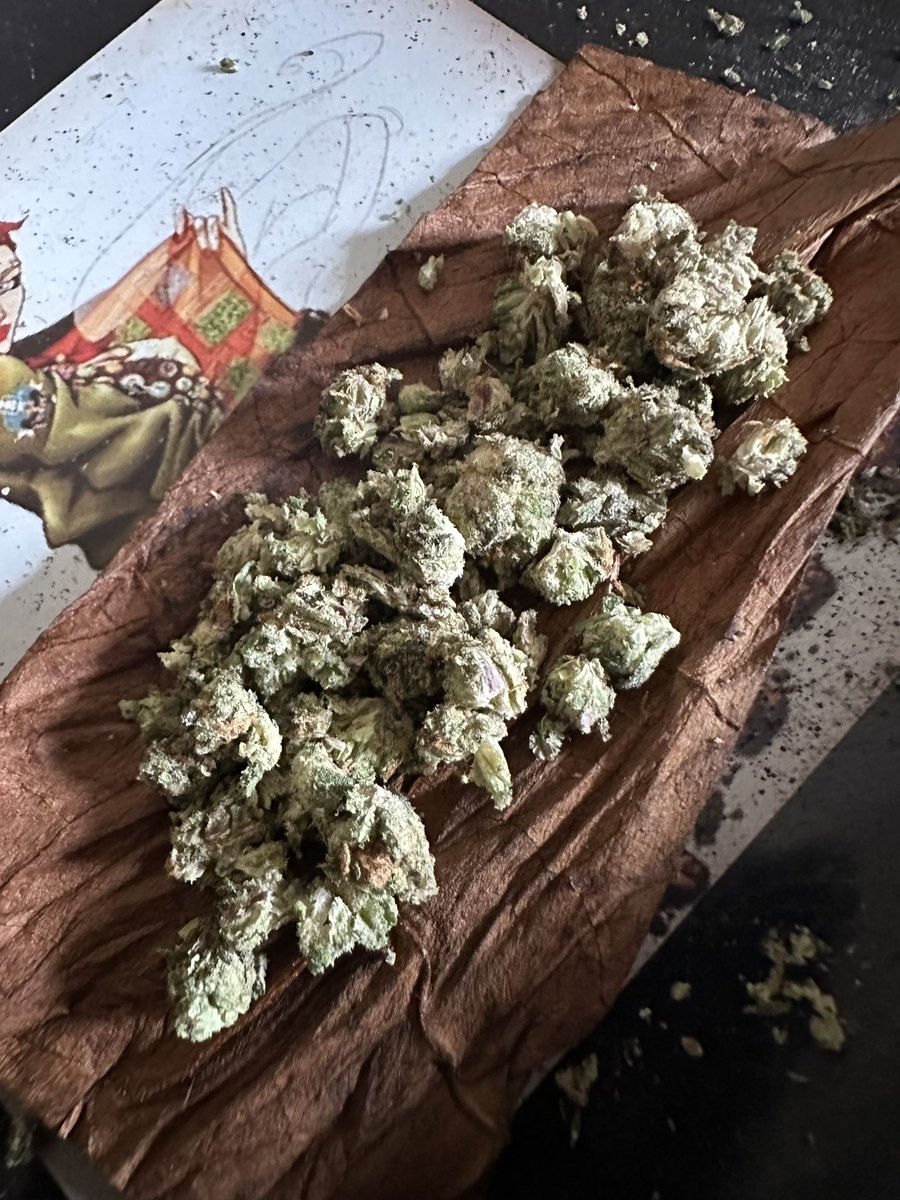 MoodY Exotics tweet media