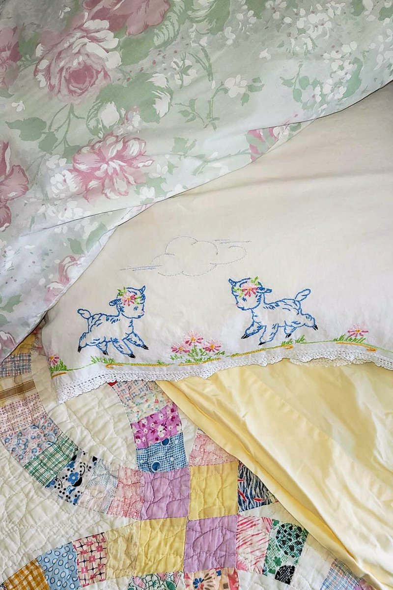 fullbloomdotfun's tweet image. #photography