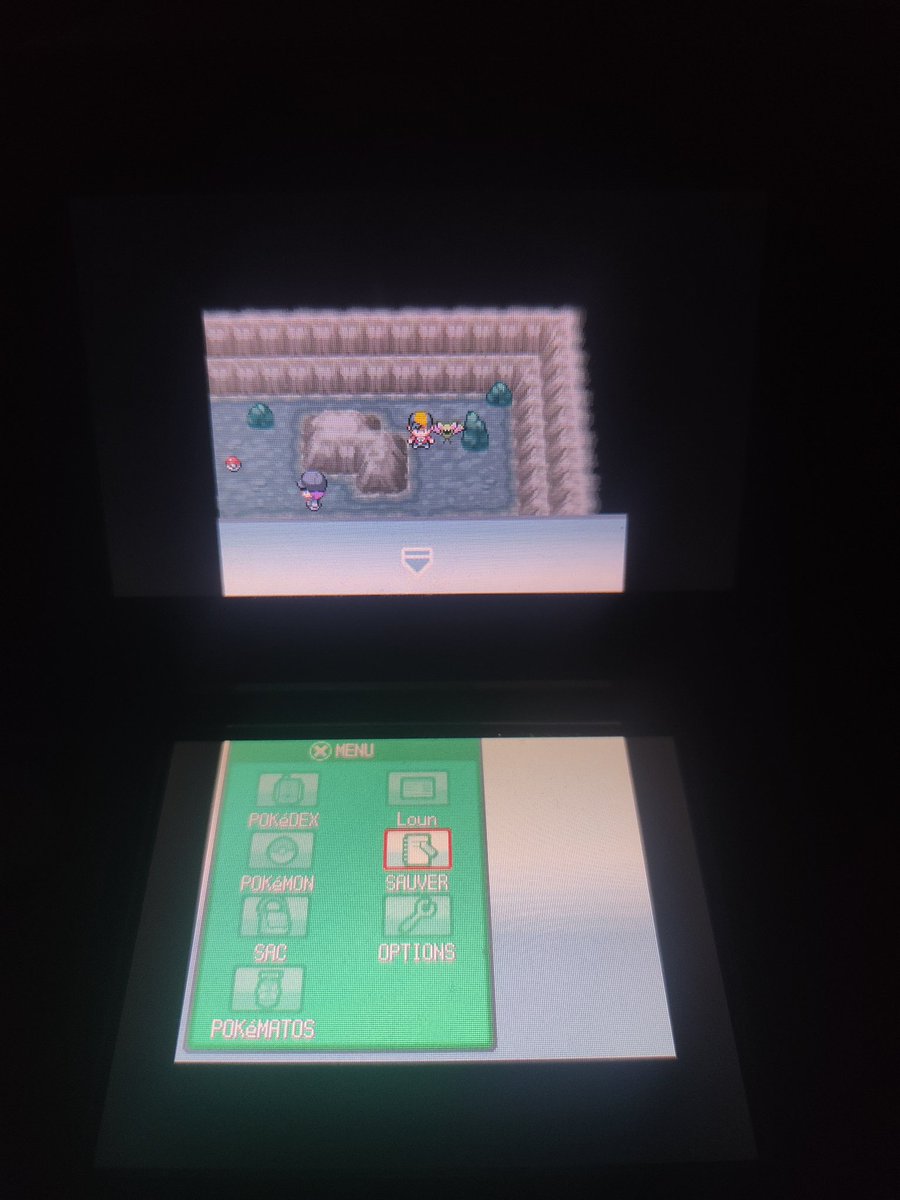 #51 Nosferapti shiny : 
2ème étape de mon DTQ sur SoulSilver qui tombe en 1035 rencontres peu de temps après le Lunala, on enchaine bien c'est cool. Premier shiny de la #SHLS10 ça commence bien cette histoire 🙌🏻