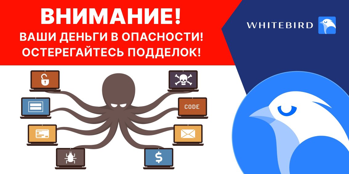 WhiteBird tweet media