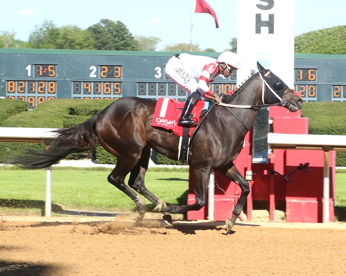 Oaklawn Hot Springs (@oaklawnracing) on Twitter photo It's a bird... it's a plane... it's SKELLY!!! The freaky fast Skelly returns this Saturday in The Aristides (G3) <a href="/ChurchillDowns/">Churchill Downs</a>! โก #OaklawnAnywhere It's a bird... it's a plane... it's SKELLY!!! The freaky fast Skelly returns this Saturday in The Aristides (G3) <a href="/ChurchillDowns/">Churchill Downs</a>! โก #OaklawnAnywhere