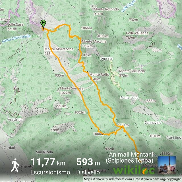 Dai un'occhiata a questo percorso di @Wikiloc!
it.wikiloc.com/percorsi-escur… (Monte Costasole e Monte Macchia ad anello da Saracinesco + Monte Roffo e Forca Travella)