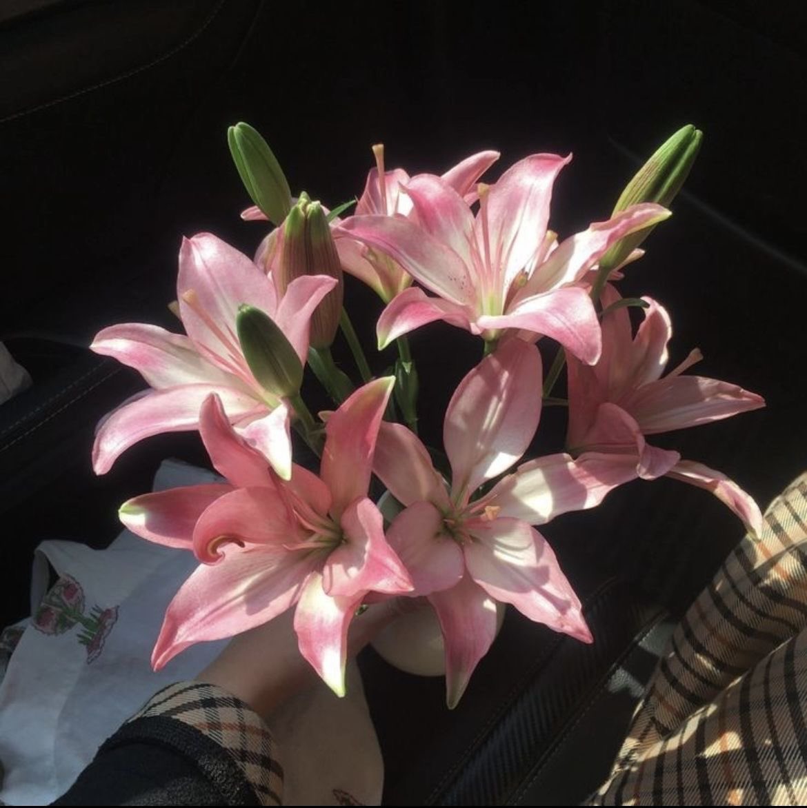 Lilies