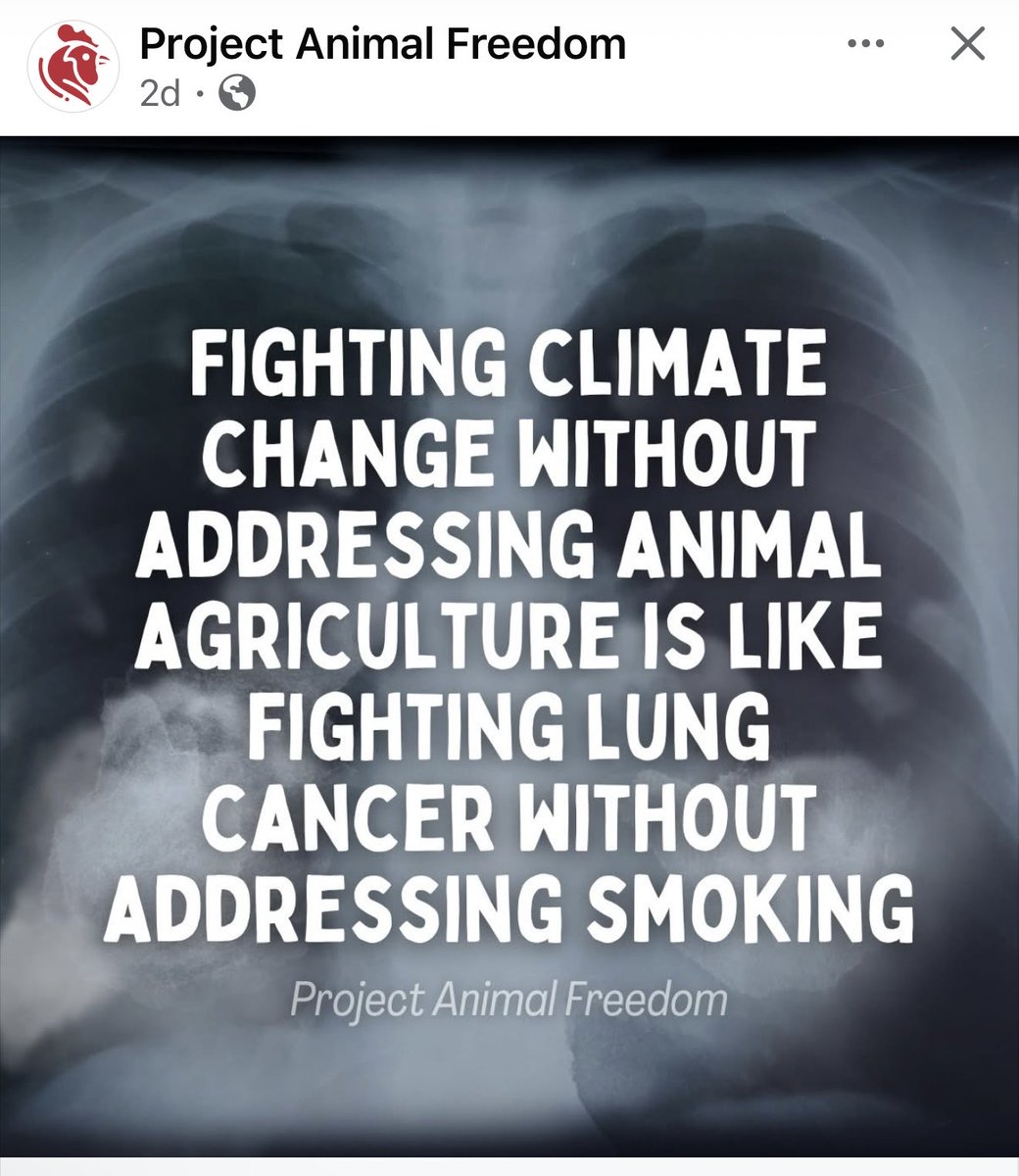 GoodWolfPAC's tweet photo. https://t.co/cBlFmJr02T