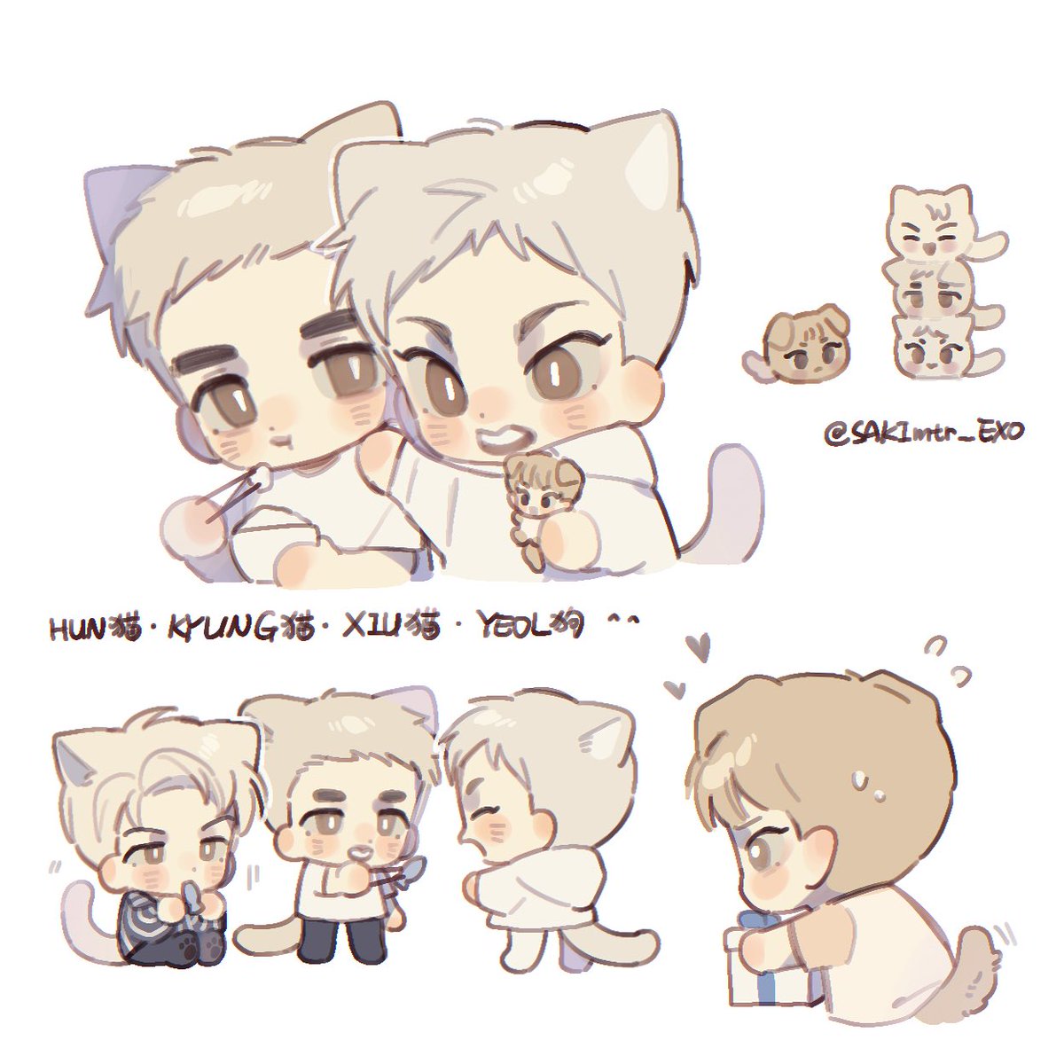 浅色短毛猫一家🫳🫳🫳🫳