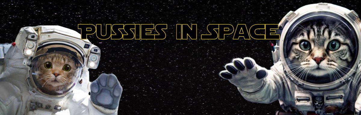 DotComParker's tweet image. Remember when $LOTTO went to $250k and crashed and everyone thought it was over? Then we fucking rocketed it to $11,000,000? 

YOU ARE EARLY ON $PIS