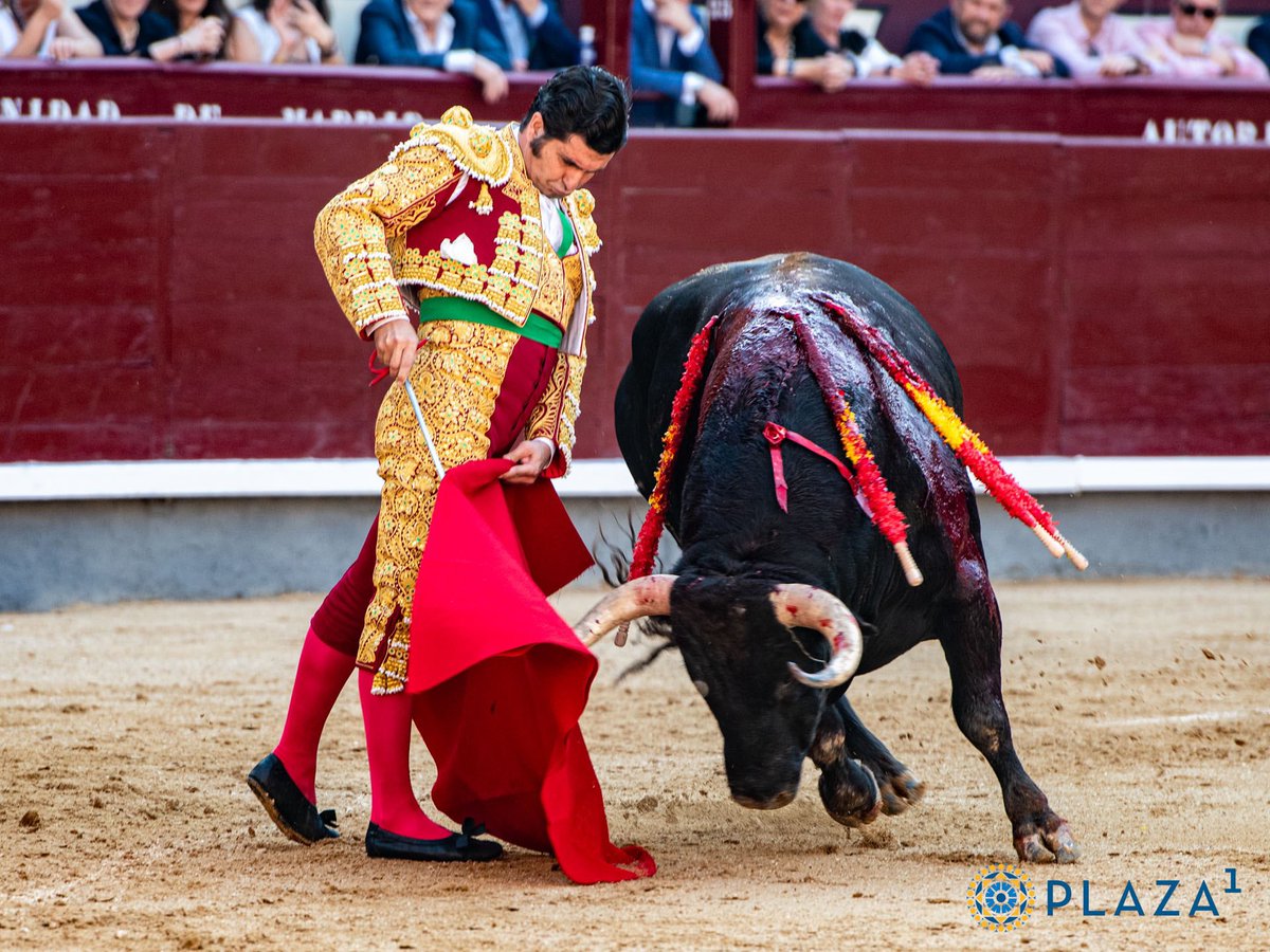 Cada tarde es una lección.