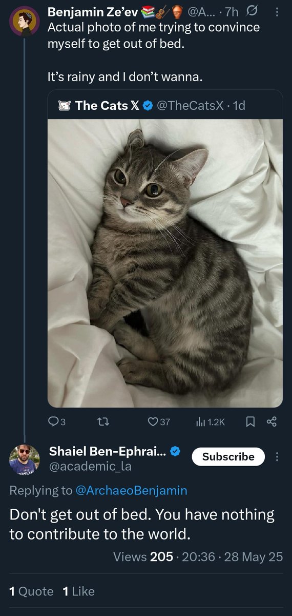 Tweet media one