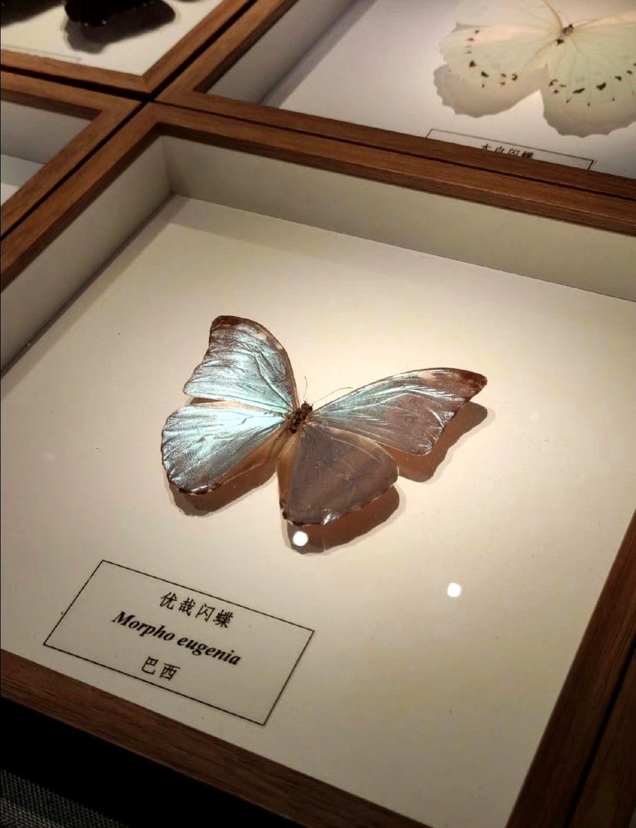 300moods's tweet image. 