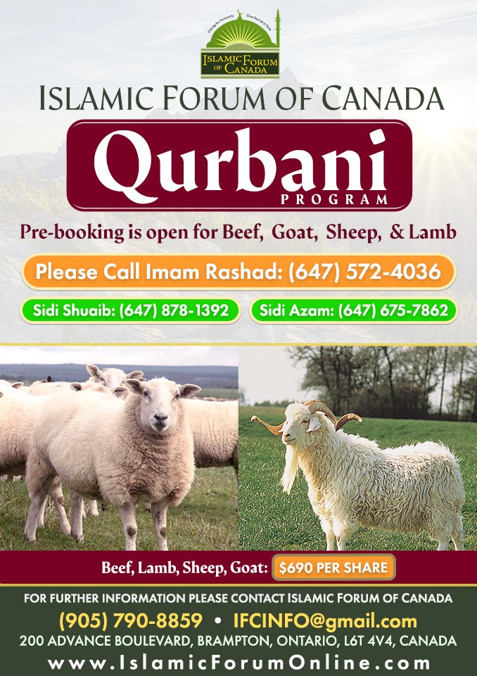 ISLAMIC FORUM OF CANADA QURBANI PROGRAM

Beef, Goat, Sheep, Lamb: $690 Per Share

Please contact us to place your Order:
Sidi Imam Rashad: (647) 572-4036
Sidi Shuaib: (647) 878-1392
Sidi Azam: (416) 357-4238

#ShaykhFaisal #Hajj #EidulAdha #Eid #Qurbani  #IslamicMonth #Islam