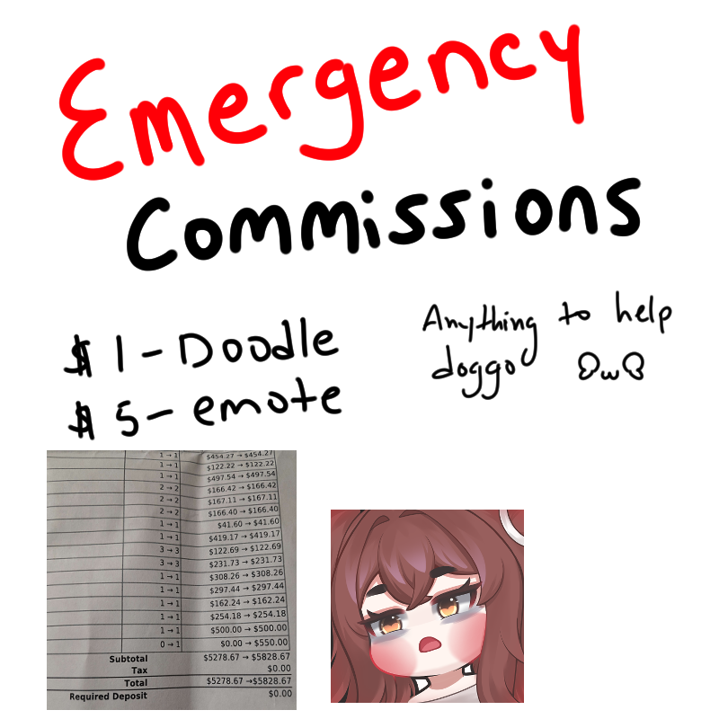 Well the doctor was right, my dog would break her other leg and she did.

I do have 1k already but need help with the other 4.3k please retweet and share with everyone QWQ

if you like to donate/tip here's the link.
streamlabs.com/namikohoshi/tip