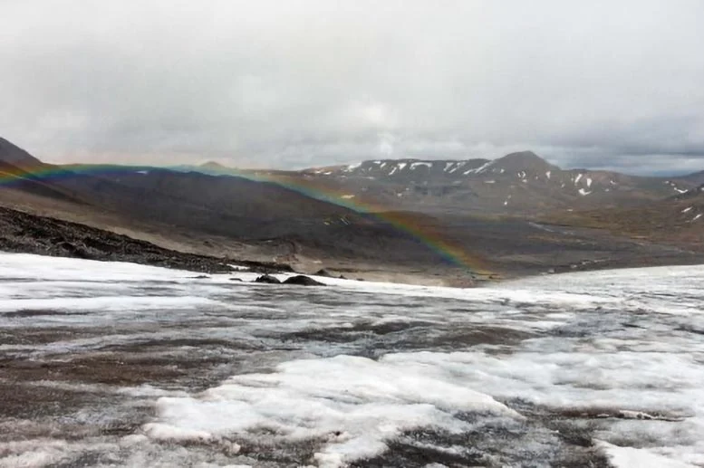 Mario Nawfal tweet media