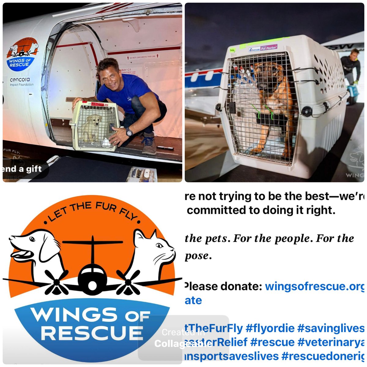 PawsnTails4TX's tweet photo. πΎπβοΈ All Aboard
Freedom flight #39 for #WingsOfRescue this year! This weekend 140 dogs πΆ and cats π from Dallas and Houston shelters will be arriving in their furever home π‘ in Maryland and upstate NY ! Wishing them safe travels and a wonderful new life! ππΎπ https://t.co/KAYYbkUU6u