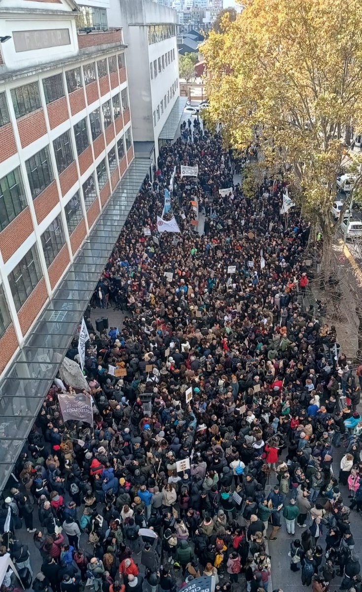 Angelo Albanese tweet media