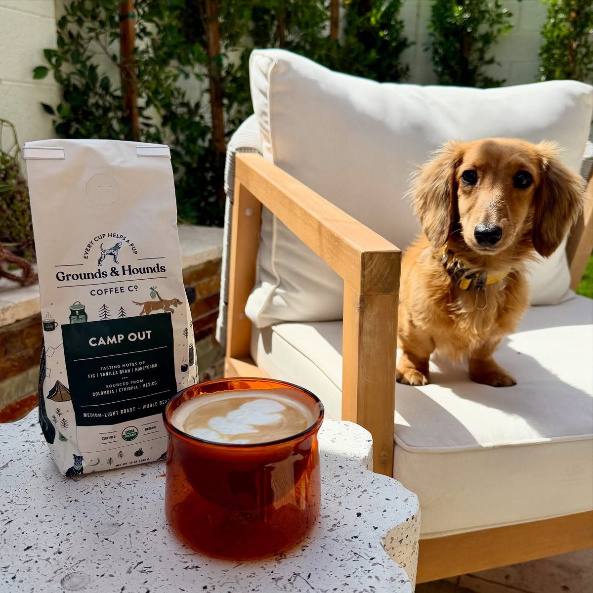 The perfect view for a second cup! 🐶☕️❤️  📷: @danielleoutdoors_