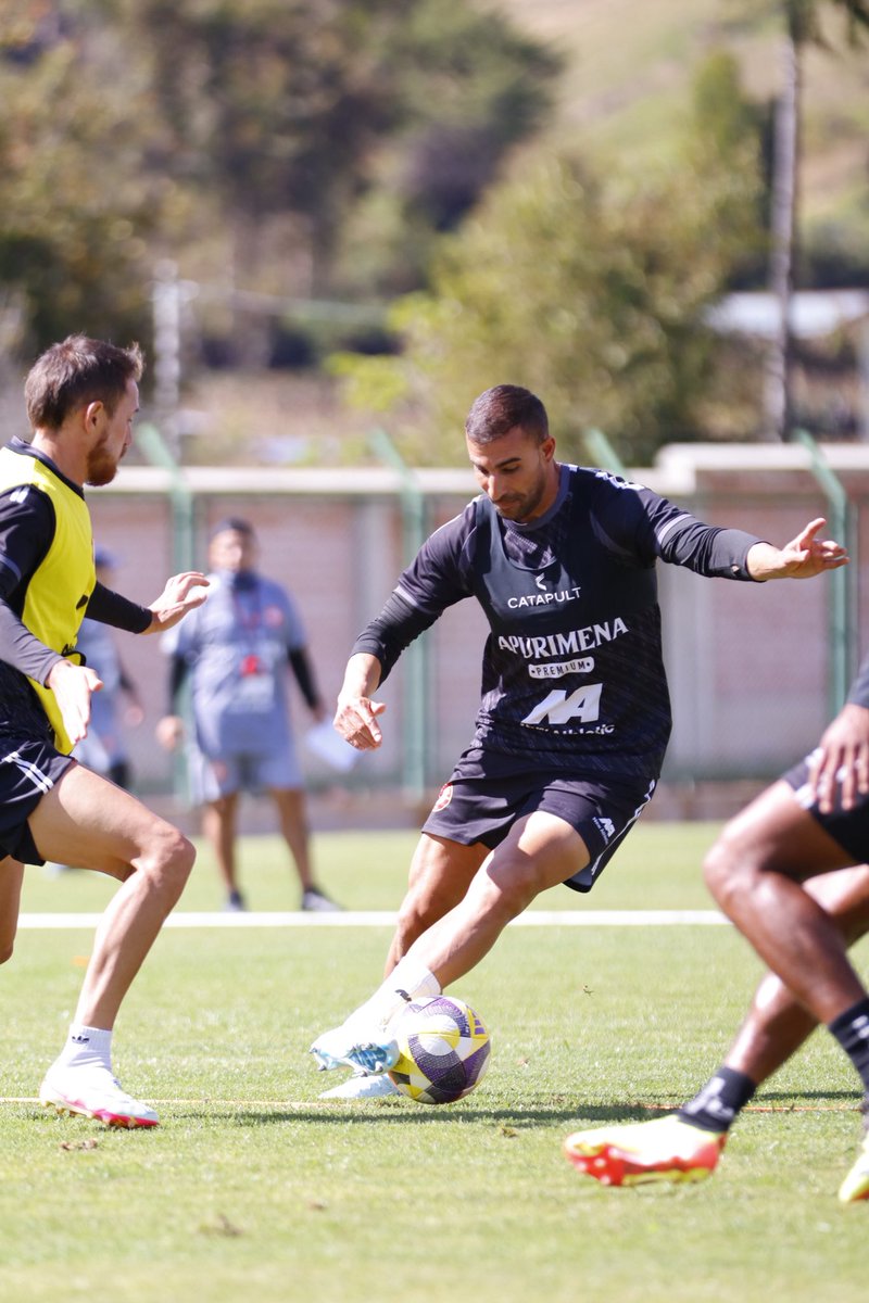 No está siendo fácil pero sigo 🙂‍↕️👊🏼