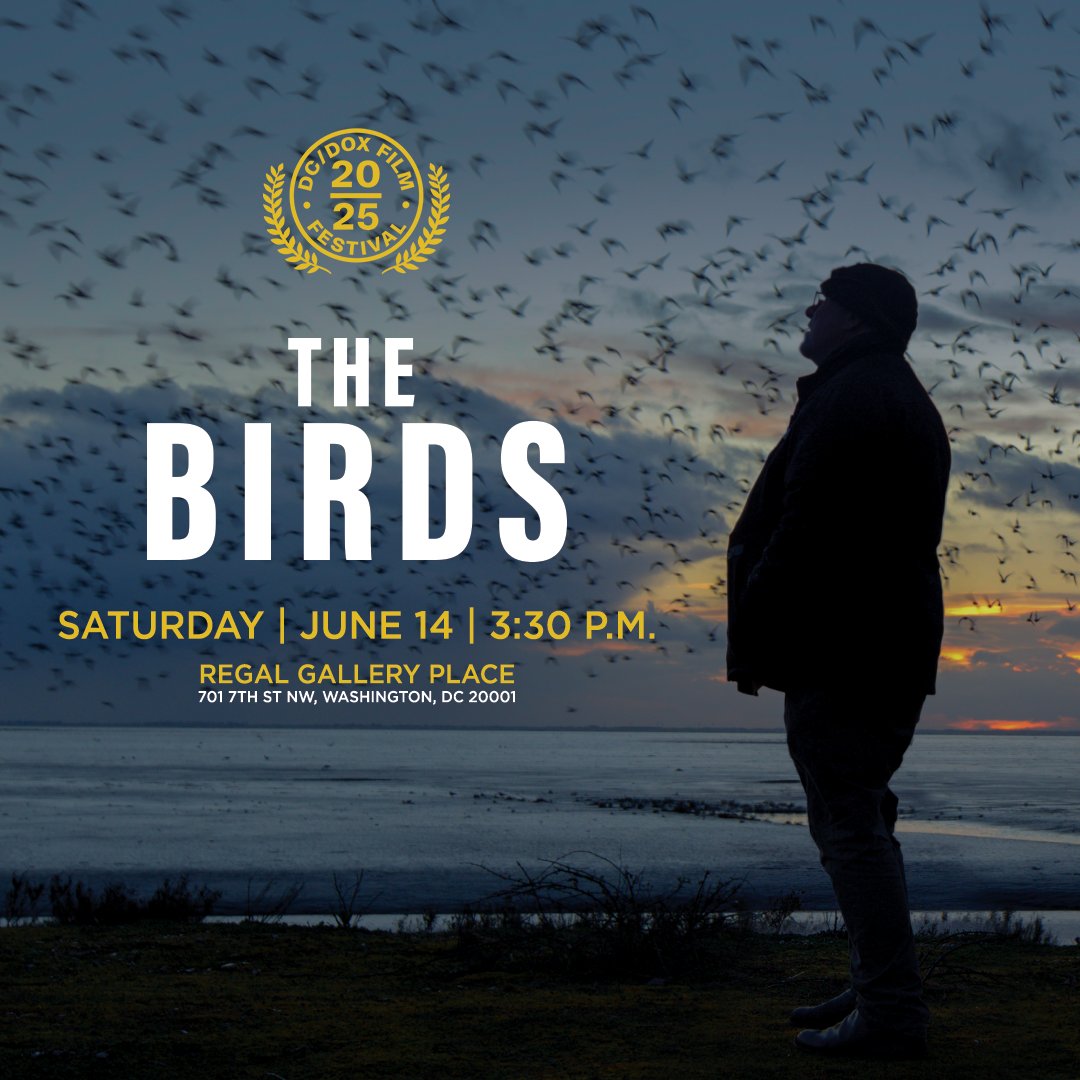 Tangled Bank Studios (@tangledbankhhmi) on Twitter photo “The Birds” is flying to <a href="/dcdoxfest/">DC/DOX Festival</a>! 🐦⬛🎉Join us for the story of wildlife filmmaker Martin Dohrn as he explores the mysteries of our natural world.
📆 Saturday, June 14, 3:30 P.M.
📍 Regal Gallery Place
🎟️ Get tickets at dcdoxfest.com/attend
<a href="/PassionPix/">PASSION PICTURES</a> <a href="/Ammonite_Films/">Ammonite Films</a> “The Birds” is flying to <a href="/dcdoxfest/">DC/DOX Festival</a>! 🐦⬛🎉Join us for the story of wildlife filmmaker Martin Dohrn as he explores the mysteries of our natural world.
📆 Saturday, June 14, 3:30 P.M.
📍 Regal Gallery Place
🎟️ Get tickets at dcdoxfest.com/attend
<a href="/PassionPix/">PASSION PICTURES</a> <a href="/Ammonite_Films/">Ammonite Films</a>