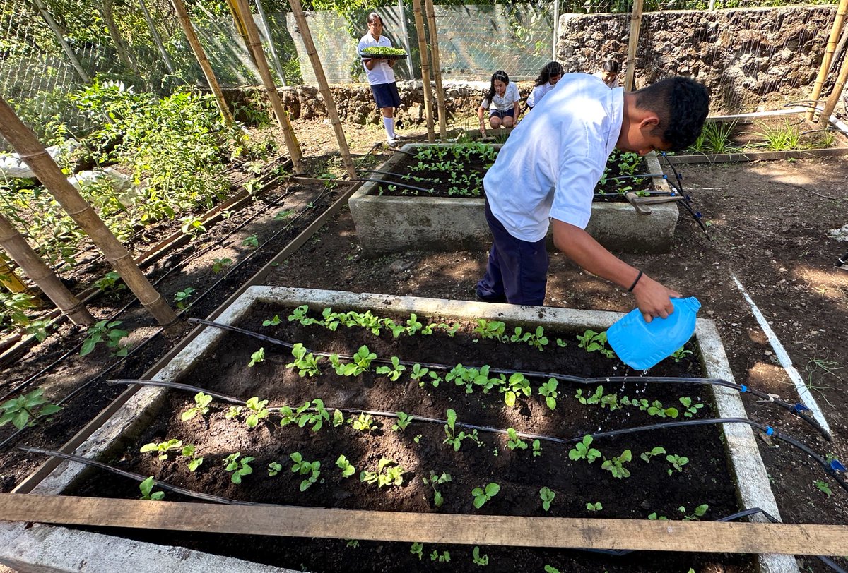WFP_SV's tweet image. ¡La nutrición y la educación van de la mano!

El proyecto Kitchen-In-A-Box Santa Ana recibió a @rlwfp y a Sheila Grudem de @WFP_es, y vieron más que una cocina: encontraron un espacio moderno, seguro y sostenible, diseñado para la preparación adecuada del refrigerio escolar🥗🧒