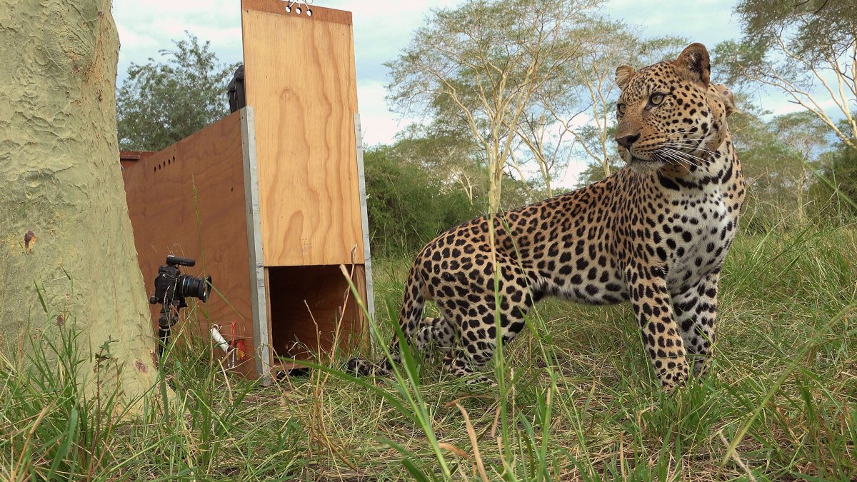 Ott House Audio tweet media