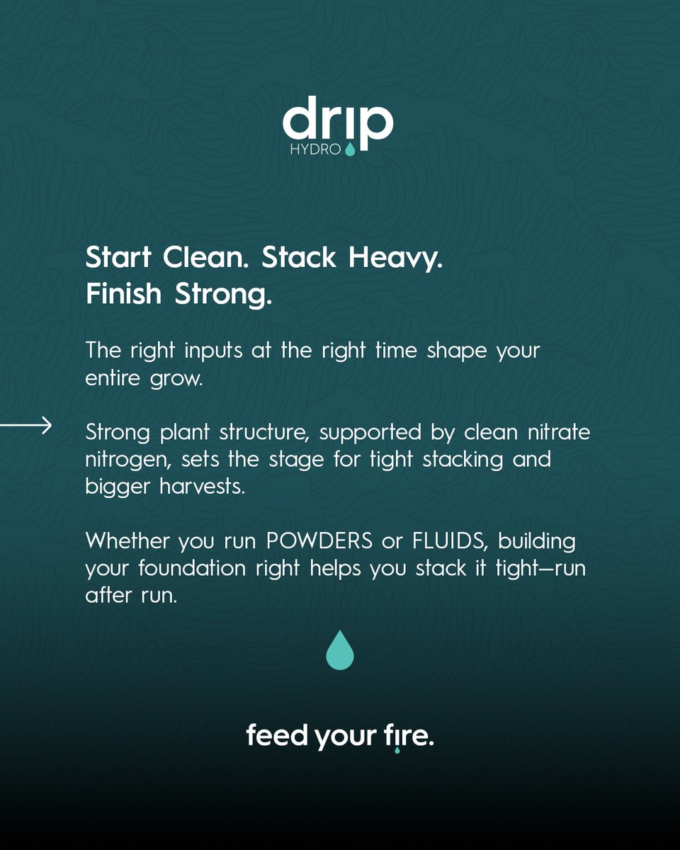 You don’t stack heavy by accident. Strong structure and clean nitrate nitrogen during veg and early bloom set the foundation for big harvests. Early work stacks late weight. Build it right, harvest more.
