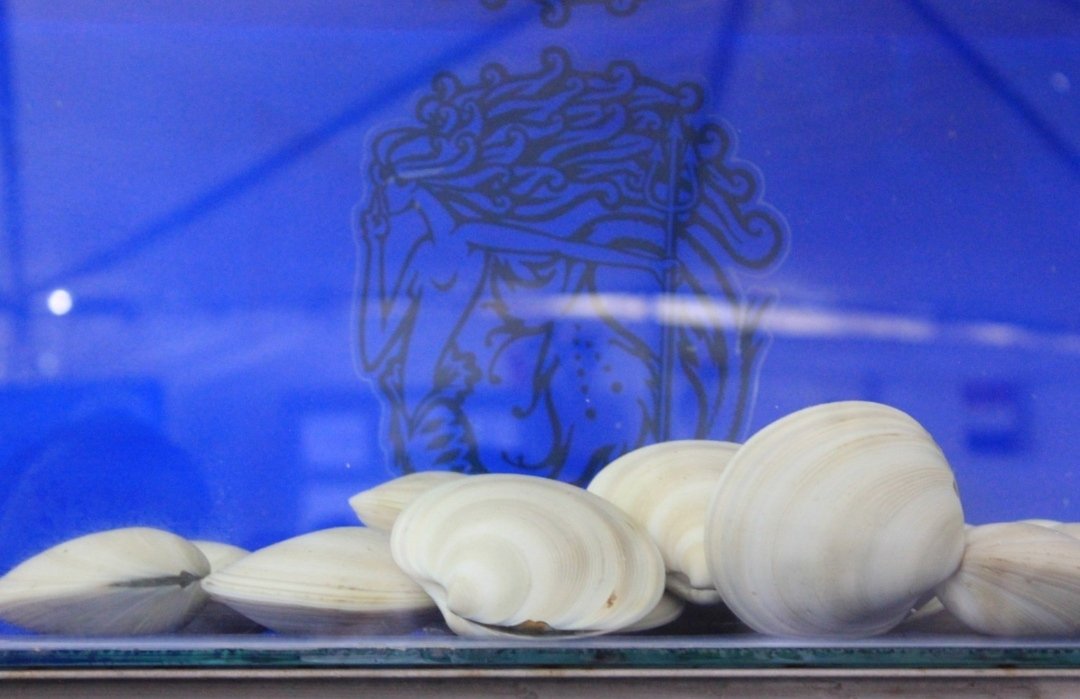 Participará <a href="/SePesca_BC/">SEPESCA BC</a> en "Expomar 2025", evento que organiza Asipona. Diversas instituciones y asociaciones civiles se integrarán a la muestra pesquera, acuícola y marítima que se realizará del 1 al 3 de junio en la Ventana al Mar, en Ensenada.
facebook.com/10006390713132…